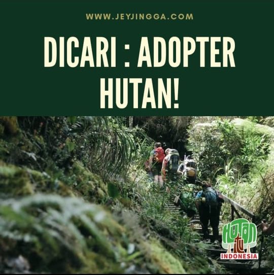 Dicari : Adopter Hutan! Jaga Hutan Kita, Jaga Indonesia