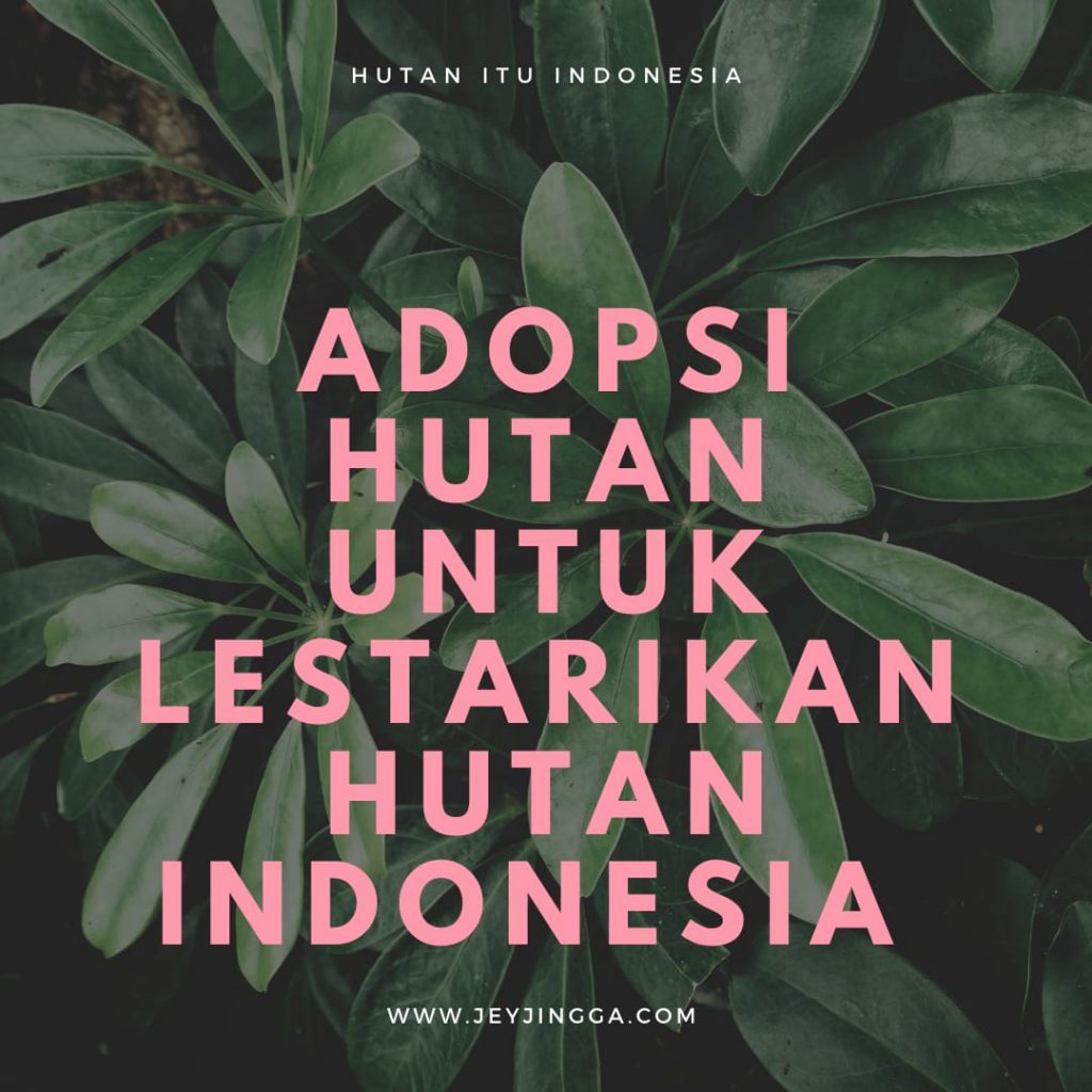 adopsi hutan