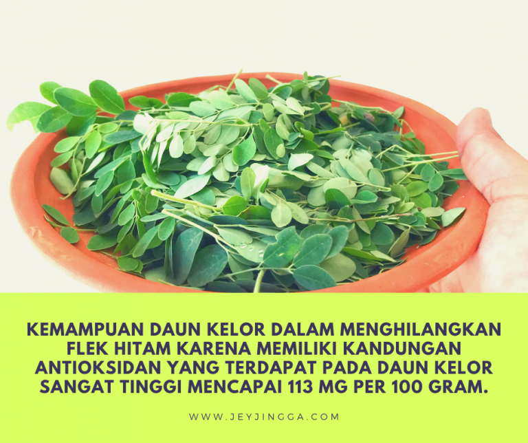 menjadi cantik dengan daun kelor