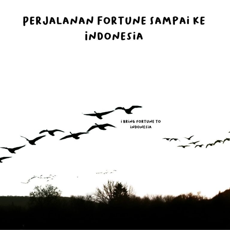 perjalanan fortune ke indonesia