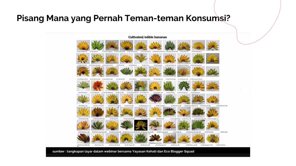 jumlah keanekaragaman hayati di indonesia