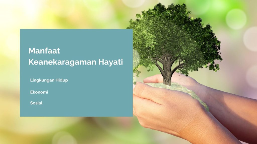 manfaat keanekaragaman hayati di indonesia