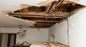 mengapa rayap merusak